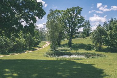 ağaçlar ve yaz aylarında yeşil bitki örtüsü ile kırsal doğal görünümünü