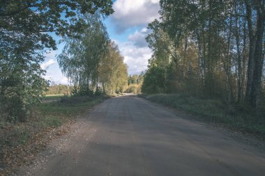 Her iki tarafta, Letonya büyük ağaçları ile boş yol