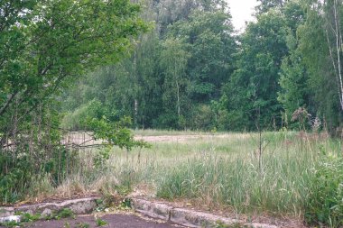 geç sonbahar kırsal manzara doğal görünümü