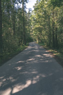 Her iki tarafta ağaçları ile boş yol