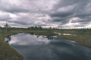 Orman ve sakin göl üzerinde gökyüzü doğal görünümünü