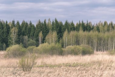 geç sonbahar kırsal manzara doğal görünümü