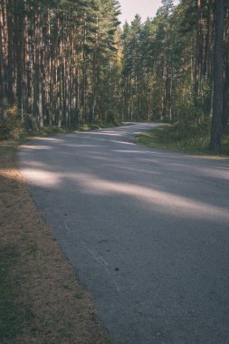 Her iki tarafta ağaçları ile boş yol