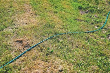 Yeşil lastik nargile yeşil çimenlerin üzerinde döşeme