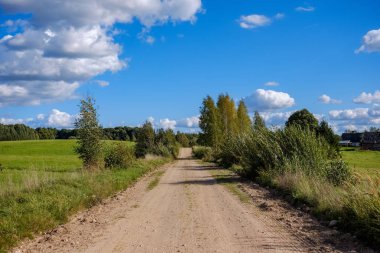 Her iki tarafta, Letonya büyük ağaçları ile boş yol
