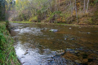 kayalık orman Amata Nehri ile düşük akım yaz, Letonya