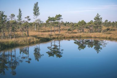 Orman ve sakin göl üzerinde gökyüzü doğal görünümünü