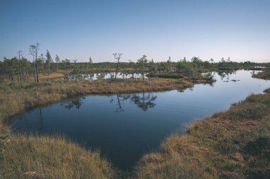 Orman ve sakin göl üzerinde gökyüzü doğal görünümünü
