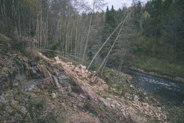kayalık orman Amata Nehri ile düşük akım yaz, Letonya