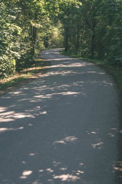 Her iki tarafta ağaçları ile boş yol
