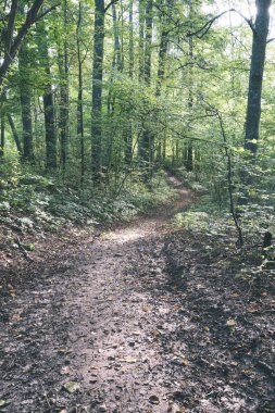 kırmızı kumtaşı kayalıklarla turist iz Letonya ile