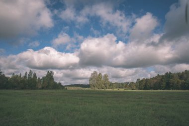 Yaz aylarında ekili buğday alanının doğal görünümü