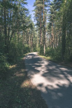 Her iki tarafta ağaçları ile boş yol
