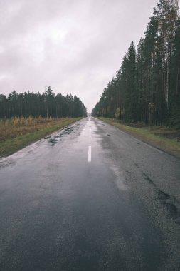 boş asfalt yol ile yeşil orman