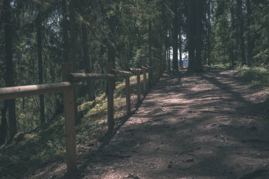 turist patika yeşil ormanda yürümek doğal görünümü