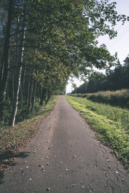 Her iki tarafta ağaçları ile boş yol