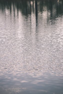 bataklık göllerde geç sonbaharda orman yansıması