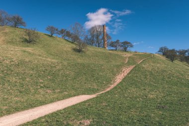 turist patika yeşil ormanda yürümek doğal görünümü
