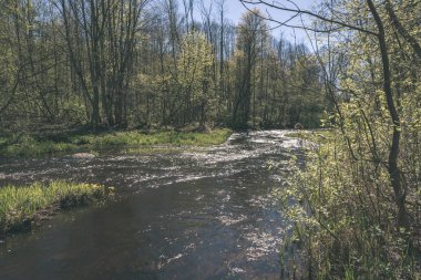 doğal orman Ayrıntılar arka plan görünümünü