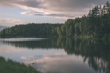 mavi gökyüzü ve yaz aylarında yeşil orman ile sakin Nehri manzaralı görünüm