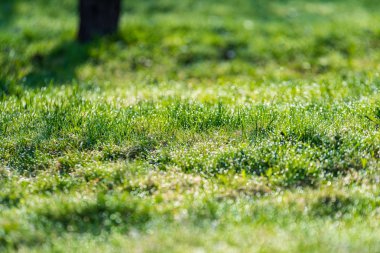 geç sonbahar kırsal manzara doğal görünümü