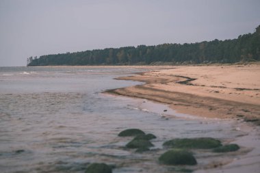 Doğal görünümü mavi gökyüzü ve kumlu plaj