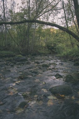göl ve yeşil ağaçların doğal görünümü