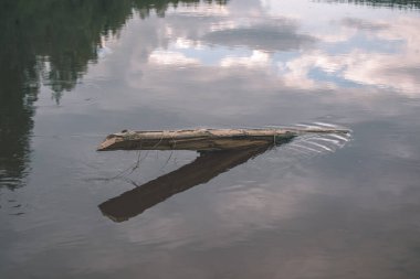 sakin gölde yansıtan ağaçlarının doğal görünümü