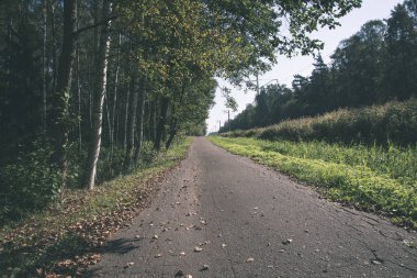 Her iki tarafta ağaçları ile boş yol