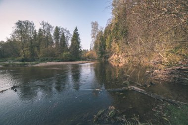 Orman ve sakin göl üzerinde gökyüzü doğal görünümünü