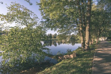 doğal orman Ayrıntılar arka plan görünümünü
