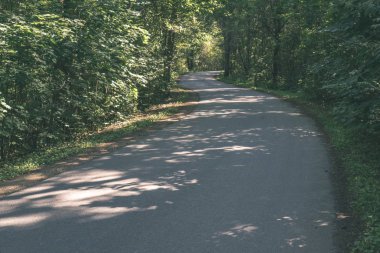 Her iki tarafta ağaçları ile boş yol