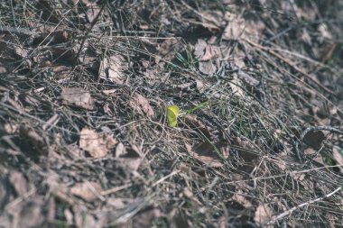 Doğa Ayrıntılar arka plan görünümünü kapat