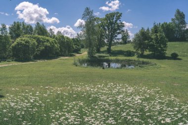 ağaçlar ve yaz aylarında yeşil bitki örtüsü ile kırsal doğal görünümünü