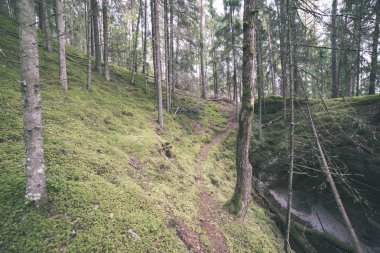 kırmızı kumtaşı kayalıklarla turist iz Letonya ile