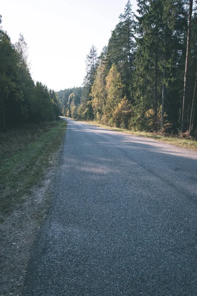 Her Iki Tarafta Ağaçları Ile Boş Yol — Stok fotoğraf