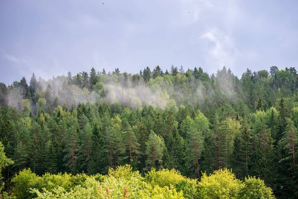 Vista Panorámica Del Paisaje Forestal Otoño — Foto de Stock