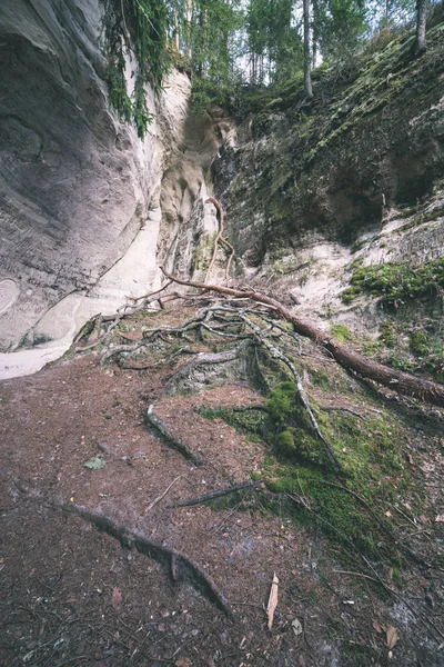 红色砂岩悬崖与旅游小道在拉脱维亚 — 图库照片