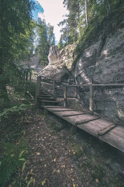 Touristenpfad Mit Holzweg Wald Lettland — Stockfoto