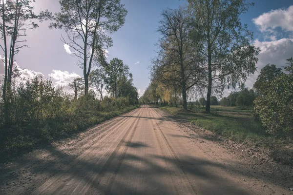 Estrada Vazia Com Grandes Árvores Ambos Lados Letónia — Fotografia de Stock