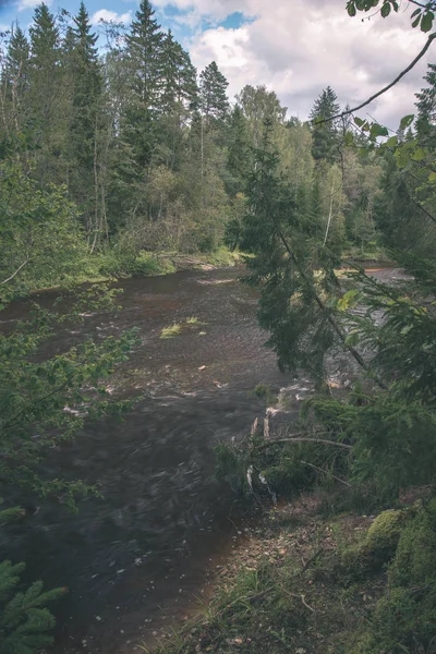 Rivière Amata Lettonie Avec Forêt Verte Autour Été — Photo