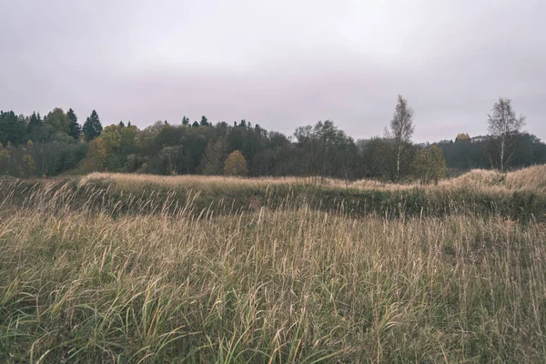 Vacker Utsikt Över Sena Hösten Gröna Landskapet — Stockfoto