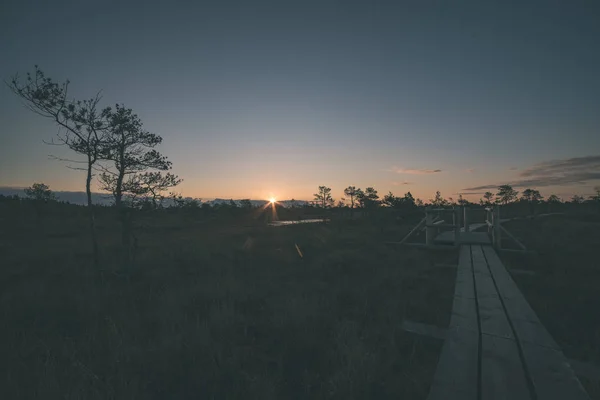 沼沢地に沈む夕日の美しい景色 — ストック写真