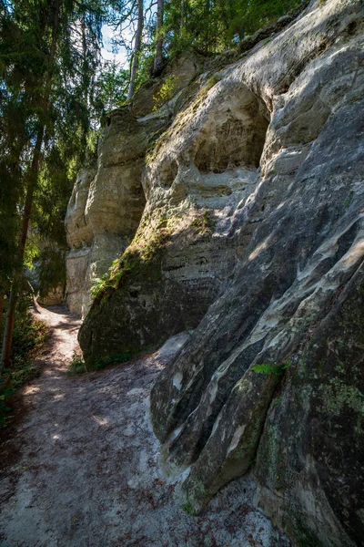 ラトビアの砂岩の崖のクローズ アップ表示 — ストック写真