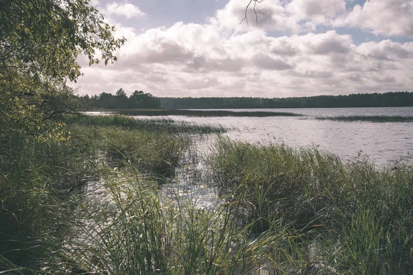 Живописный Вид Озеро Зеленые Деревья Вокруг — стоковое фото