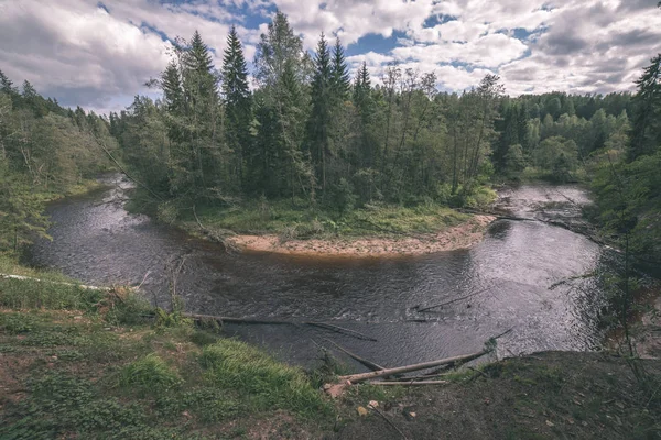 Wavy Amata River Green Forest Summer Latvia — Stock Photo, Image