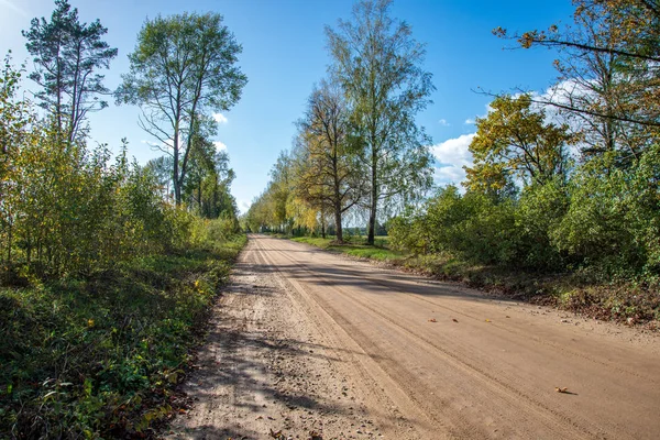Пустая Дорога Большими Деревьями Обеих Сторон Латвия — стоковое фото