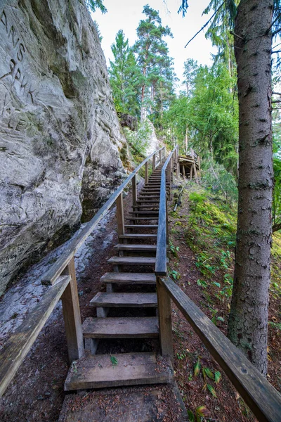 Sentiero Turistico Con Sentiero Legno Nella Foresta Lettonia — Foto Stock