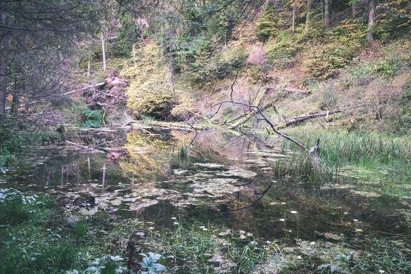 干燥的树 孤独和红色砂岩峭壁和高雅河在拉脱维亚 — 图库照片