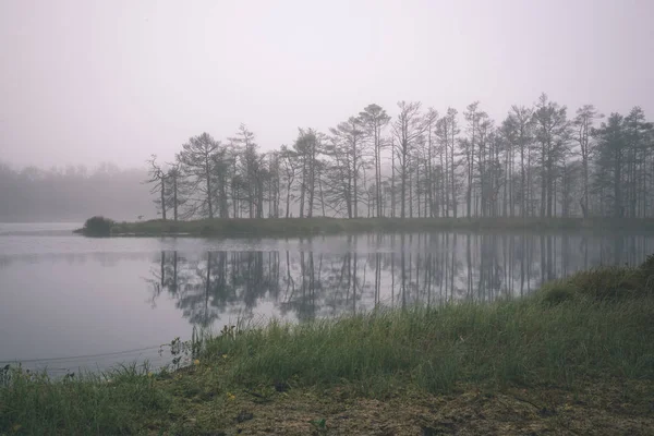 Beautiful Scenic View Misty Morning Swamp Area — Stock Photo, Image